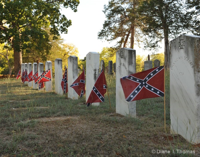 Unknown Soliders Honored 