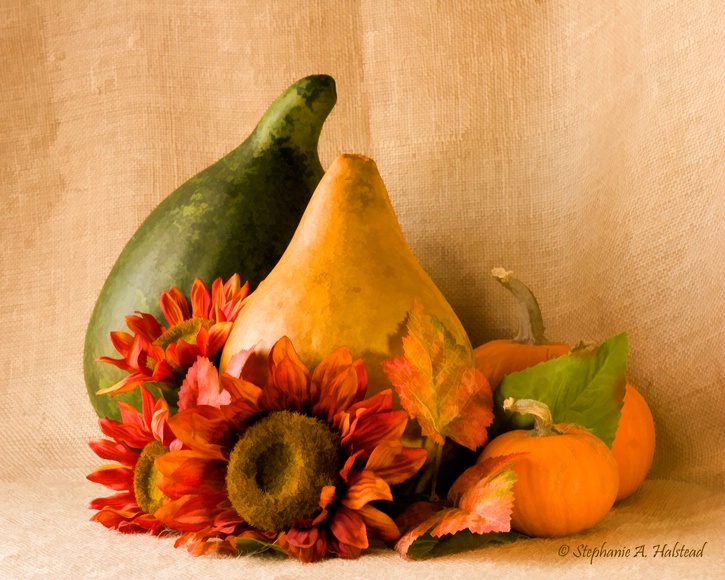 Gourds, Pumpkins, Flowers and Leaves