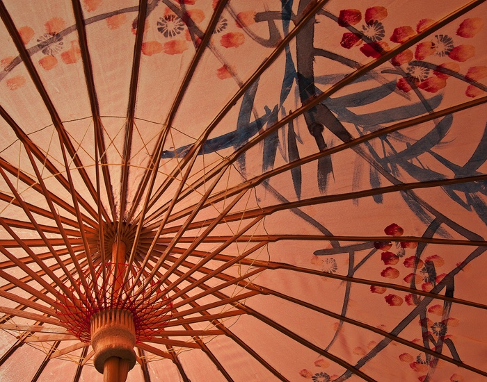 Asian Parasol