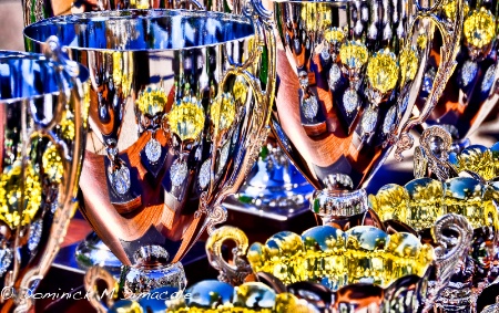 ~ ~ TROPHIES & REFLECTIONS ~ ~