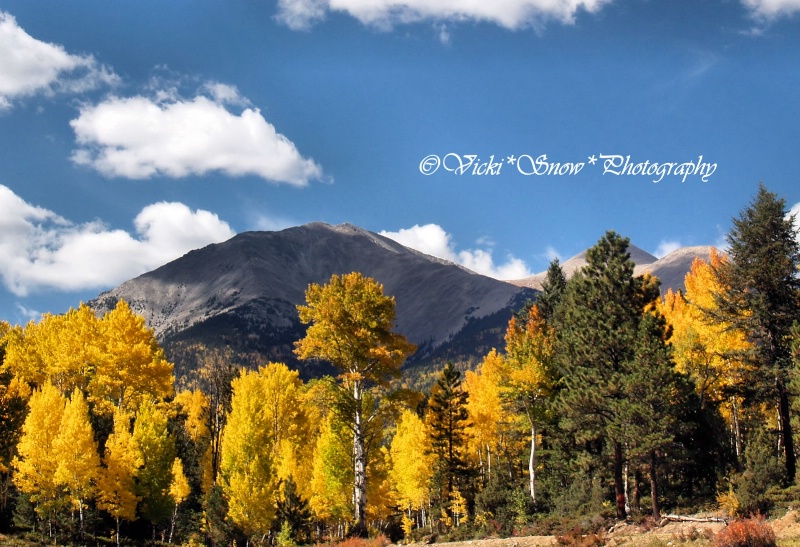 Shavano thru the Aspens