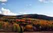 Natures Painting