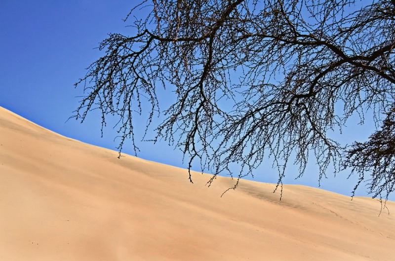 Dune - 3 -
