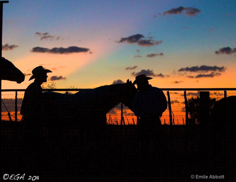 Silhouettes at Dawn - ID: 12300074 © Emile Abbott