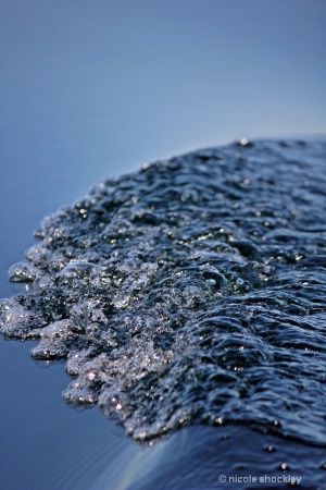 Bubbles on the Lake