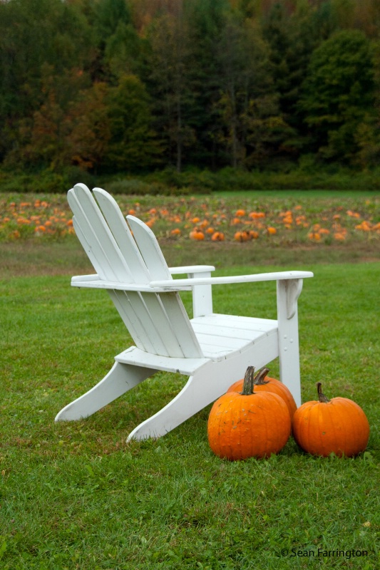 Chair w/ pumpkins