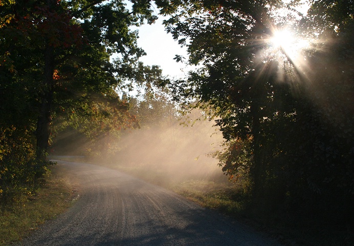 Evening Light