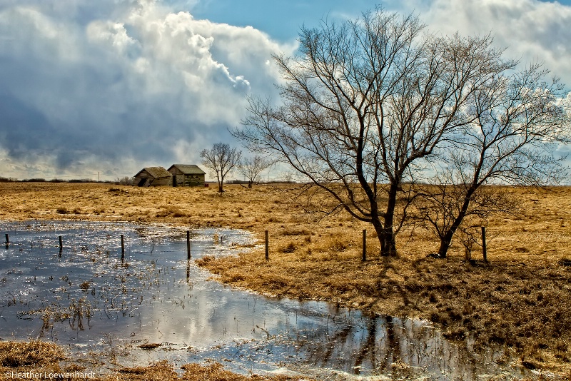 Spring Thaw