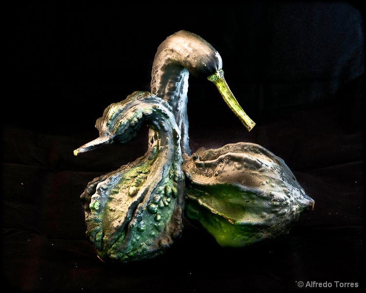 Ducks or Geese? - ID: 12302935 © Alfredo Torres