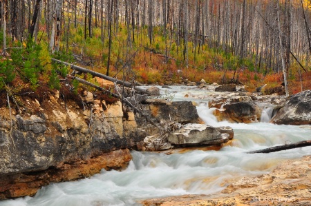 Marble Canyon in Kootenay National Park