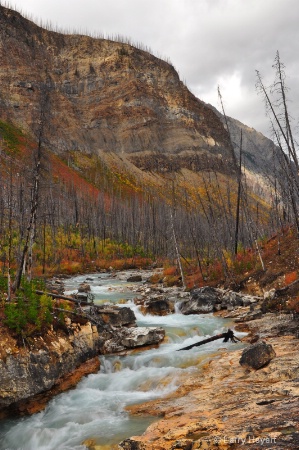 Marble Canyon in Kootenay National Park