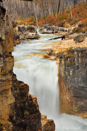 Marble Canyon in Kootenay National Park