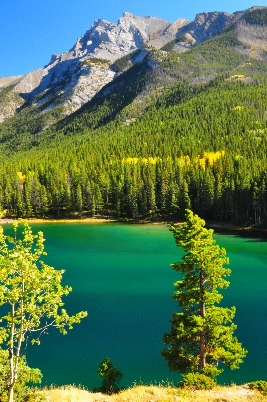 Banff National Park, Alberta, Canada - ID: 12303425 © Larry Heyert