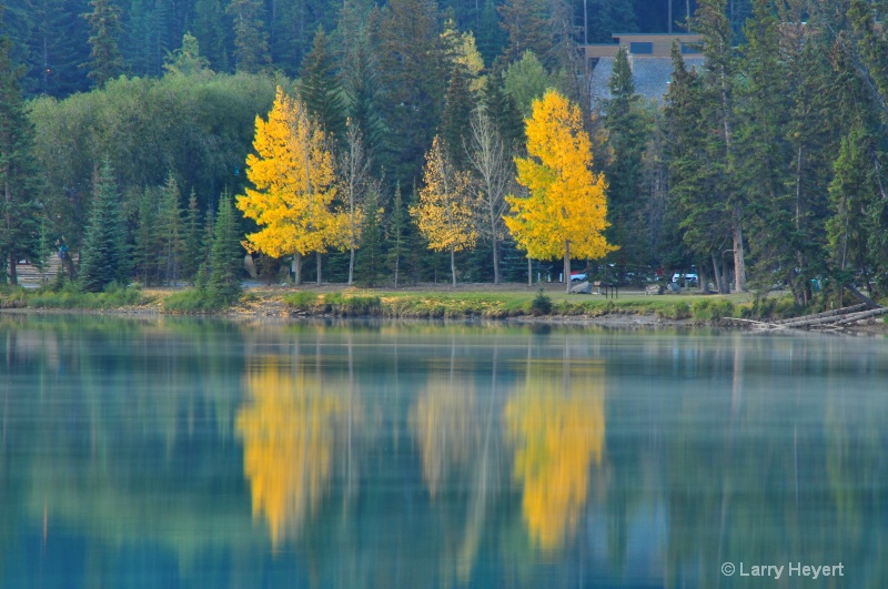 Fall Colors- Banff National Park - ID: 12303652 © Larry Heyert