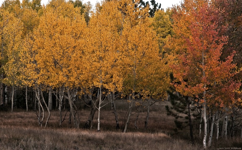 Divide, Colorado 