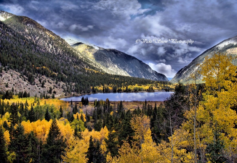 Colorado Beauty