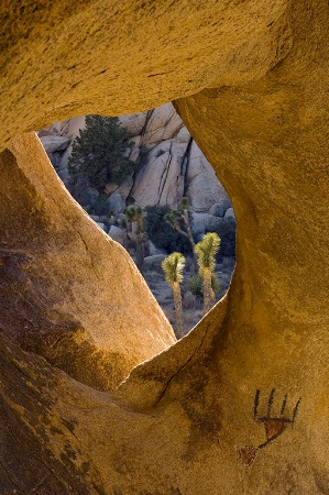 Pictograph In Joshua Tree National Park