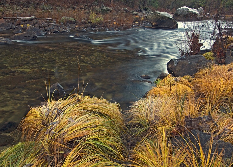 Winter Grasses On The Merced River, Yosemite