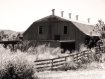 Days Gone By!