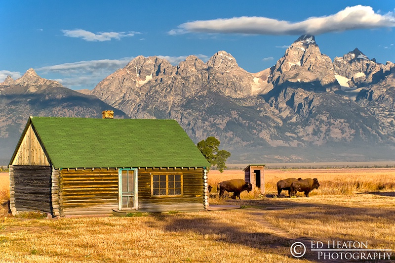 Mormon Row Cabin