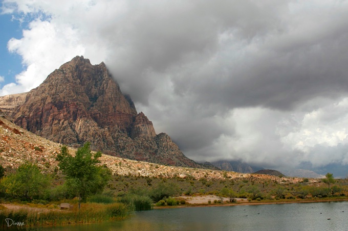 Weather at Spring Mountain Ranch