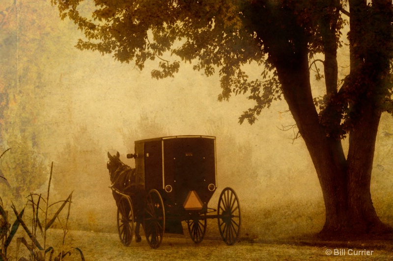 Amish Buggy - ID: 12308881 © Bill Currier