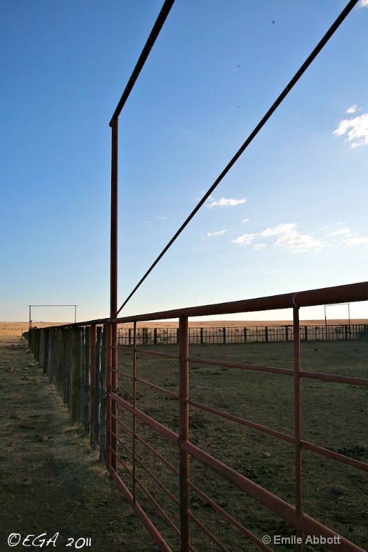 Fence Lines - ID: 12308991 © Emile Abbott