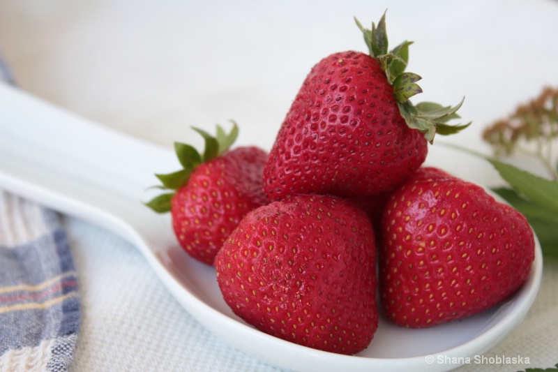morning-strawberries 0479