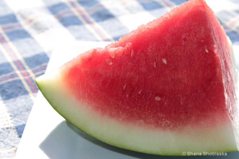 morning-watermelon 1126
