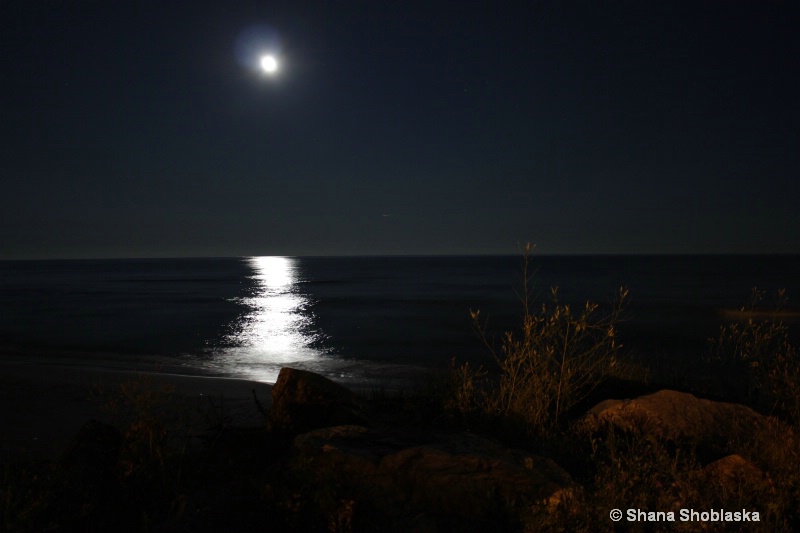peaceful-moon-over-lake 0795