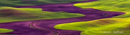 03 s curve - palouse - saturated