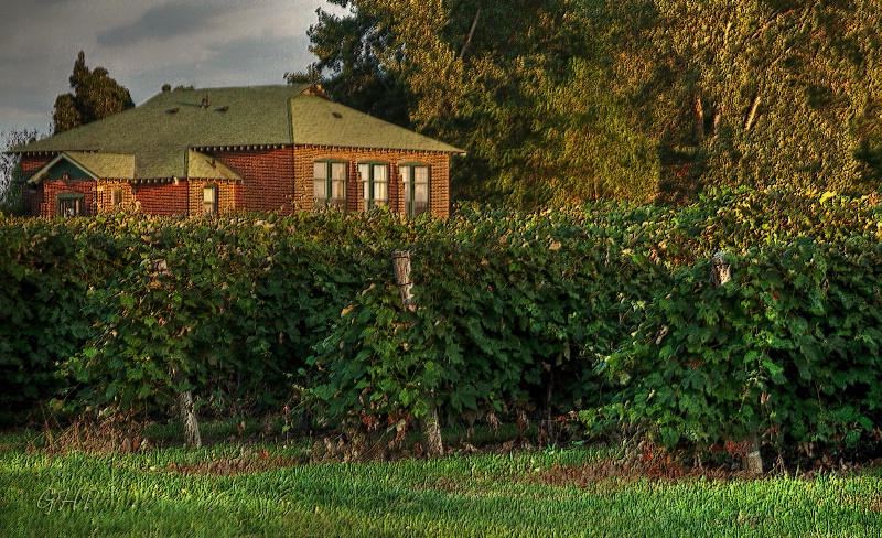 Vineyard Homestead