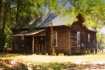 The Old Homeplace