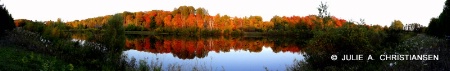 Fall Colors.......