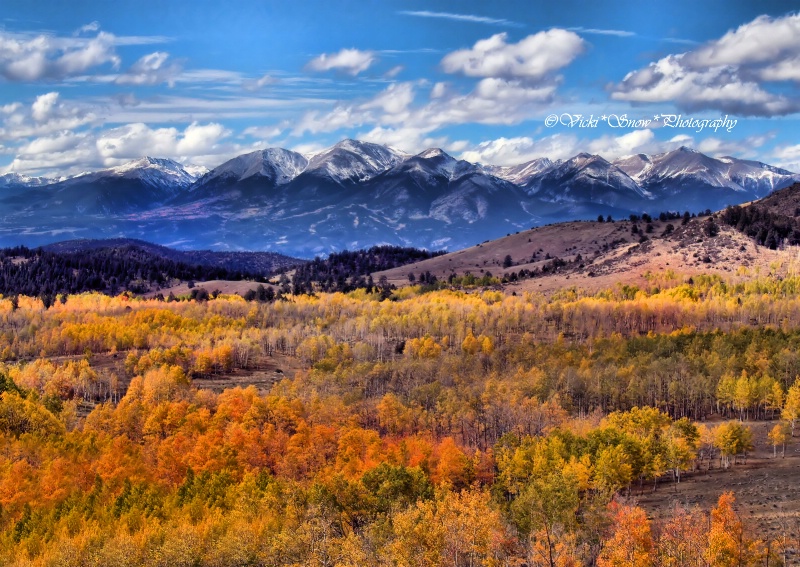 My Beautiful Colorado