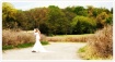 Bride in the fiel...