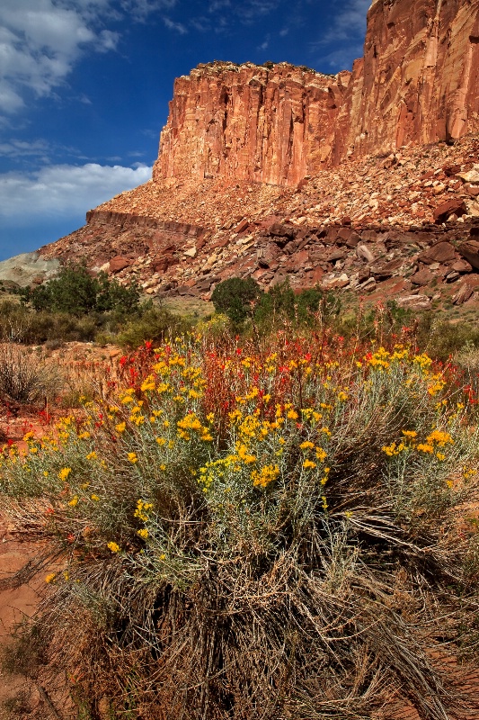 Capitol Reef - ID: 12319667 © Patricia A. Casey