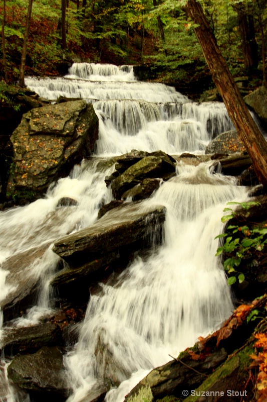 Little Four Mile Run Falls