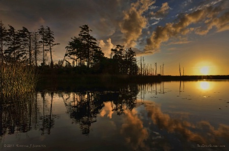 Lake Rorschach