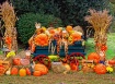 Fall is in the Ai...