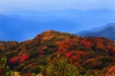 Top of the Mounta...