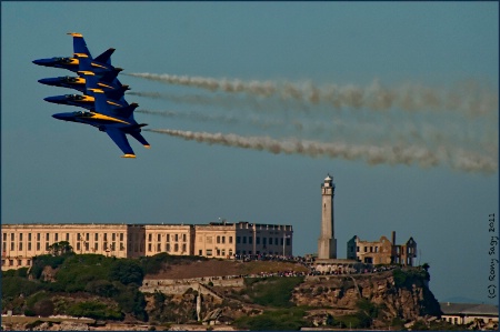 The Birds over Alcatraz