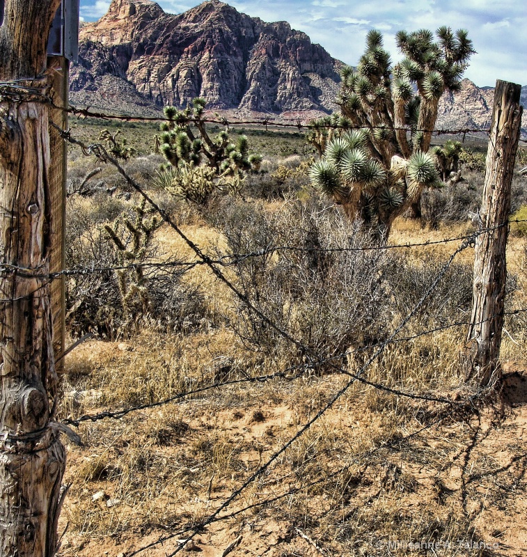img7