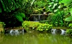 Water fall