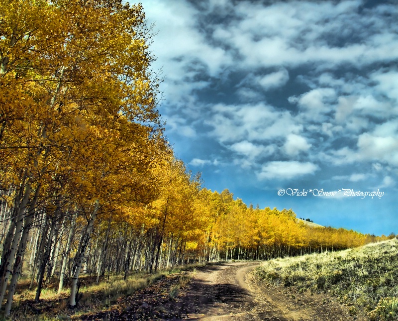 Follow the Yellow Tree Road