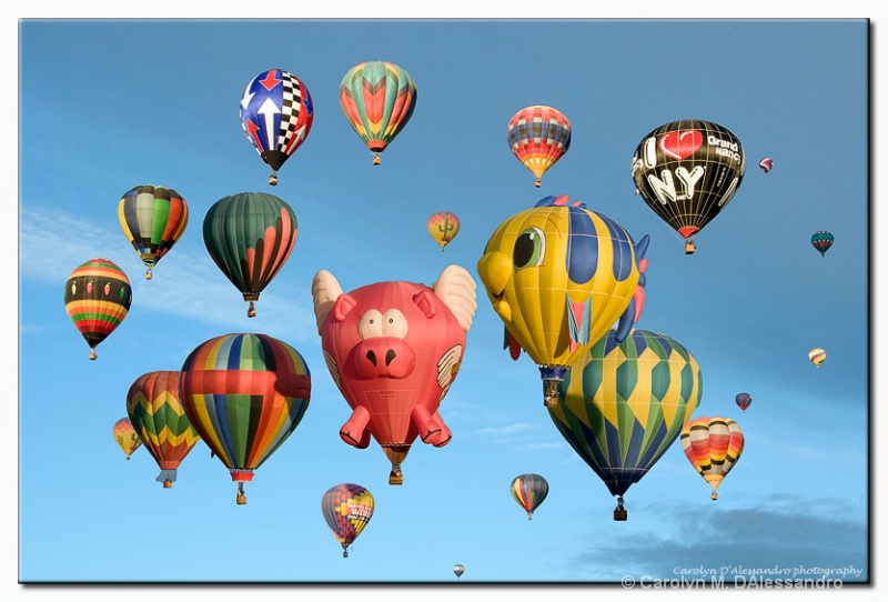 Tis the season for ballooning...