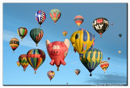 Tis the season for ballooning...