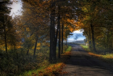 Autumn Roads