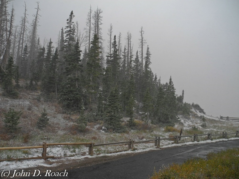 Cedar Break, Utah in a Snow Storm - ID: 12331863 © John D. Roach