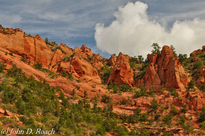 Storm Clouds Forming at Zion NP - ID: 12331883 © John D. Roach